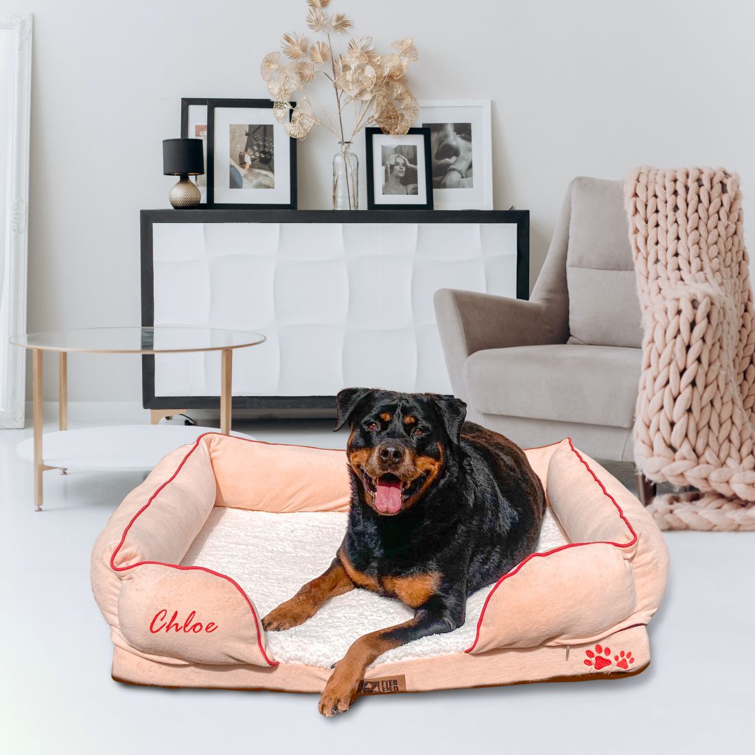 Eddie biomedic modern pet sofa bed best sale