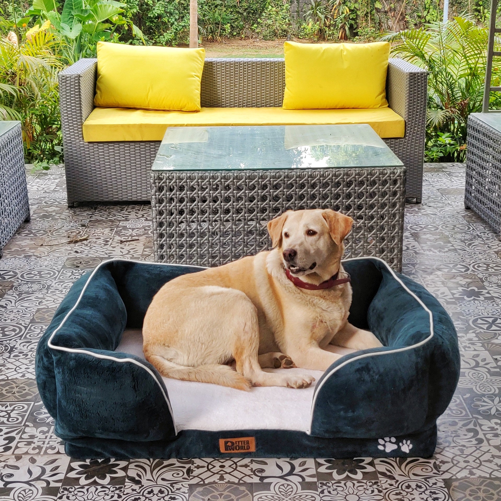 Orthopedic Sofa Bed with Sherpa fur Cover Orthopedic Sofa Beds For Dogs Online India Petter World