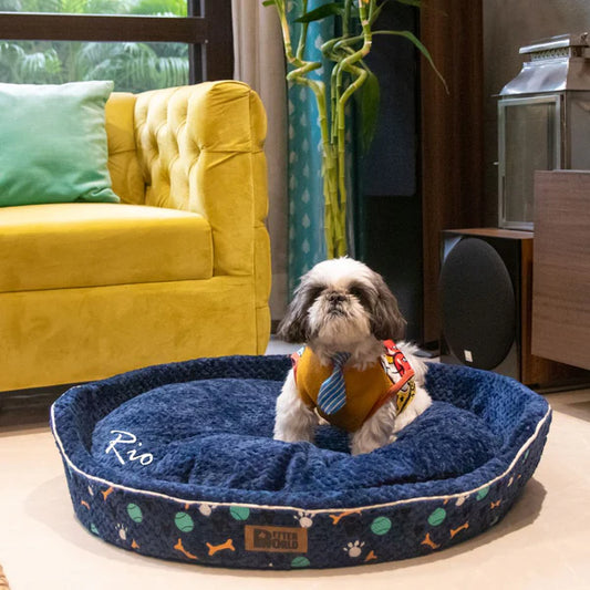 Top 5 Comfortable and Durable Dog Beds Available at Petter World