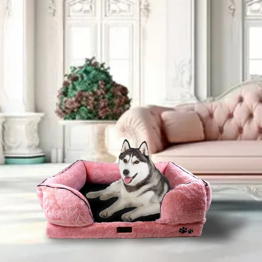 How to Choose the Perfect Dog Bed for Your Furry Friend – Tips from Petter World