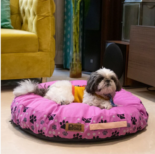 Top 10 Comfortable Dog Bed Mattresses by Petter World for a Restful Sleep