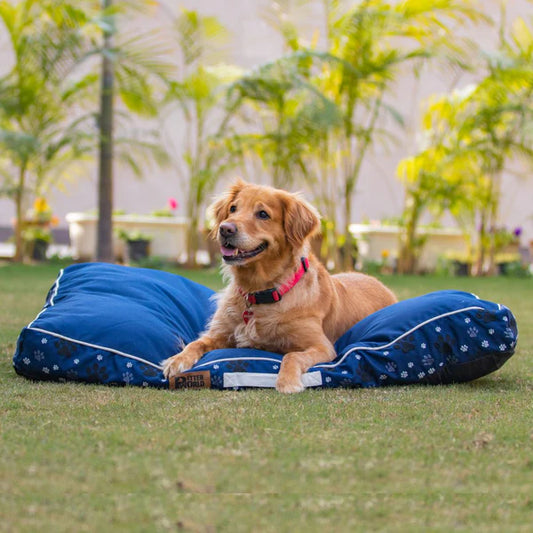 How PetterWorld's Waterproof Dog Beds Keep Your Home Clean and Your Pet Comfortable