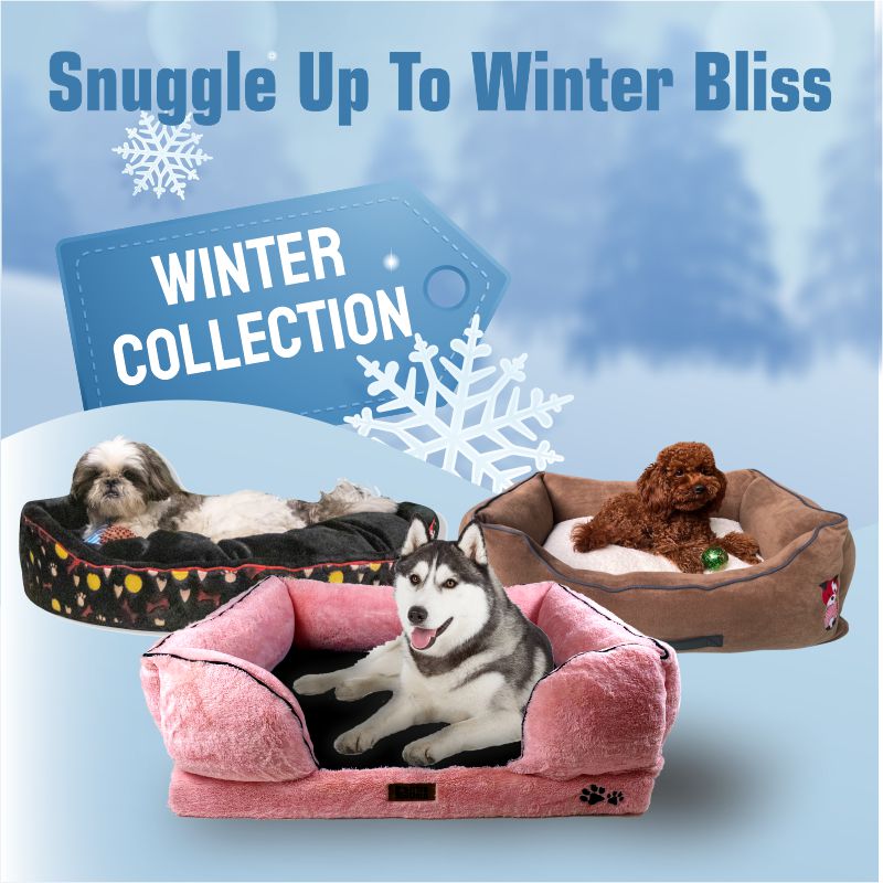 Winter Beds Collection