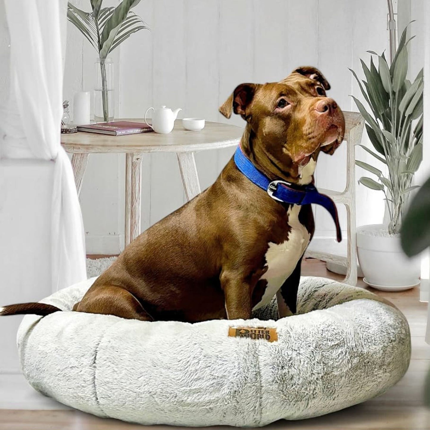 Anxiety-Relieving Donut Bed for Cats & Dogs with Free Reversible Blanket