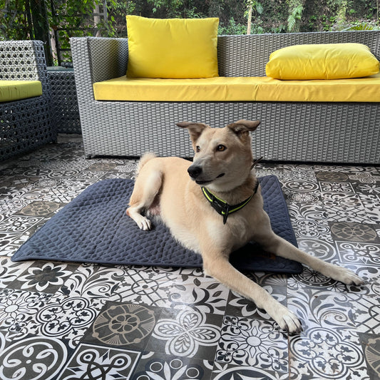 Multipurpose Summer Mat - Autumn Gray
