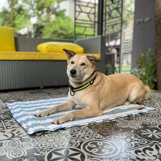 Multipurpose Summer Mat - Blue Stripes