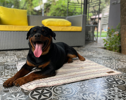 Multipurpose Summer Mat - Brown Stripes