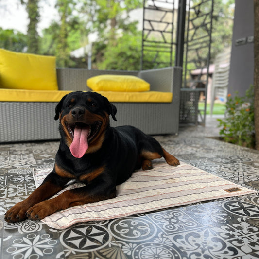 Multipurpose Summer Mat - Brown Stripes