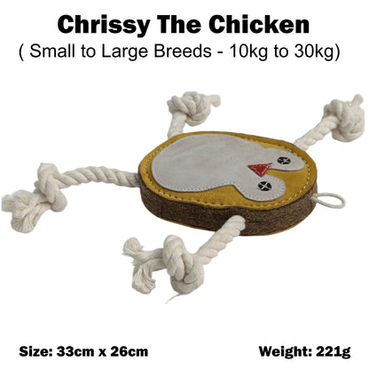 Chrissy the Chicken