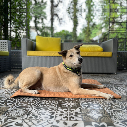 Multipurpose Summer Mat - Earthy Brown