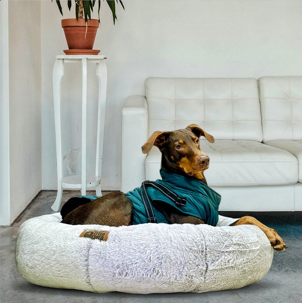 Anxiety-Relieving Donut Bed for Cats & Dogs with Free Reversible Blanket