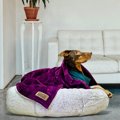 Anxiety-Relieving Donut Bed for Cats & Dogs with Free Reversible Blanket