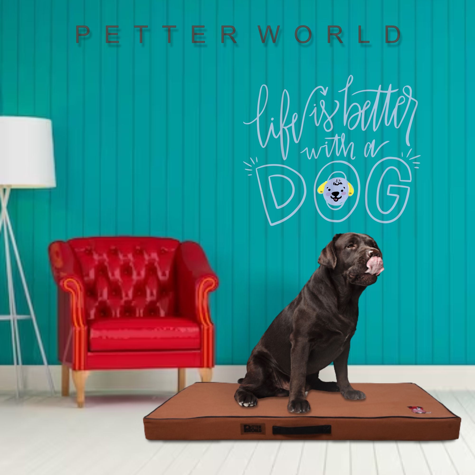 Better world dog bed best sale