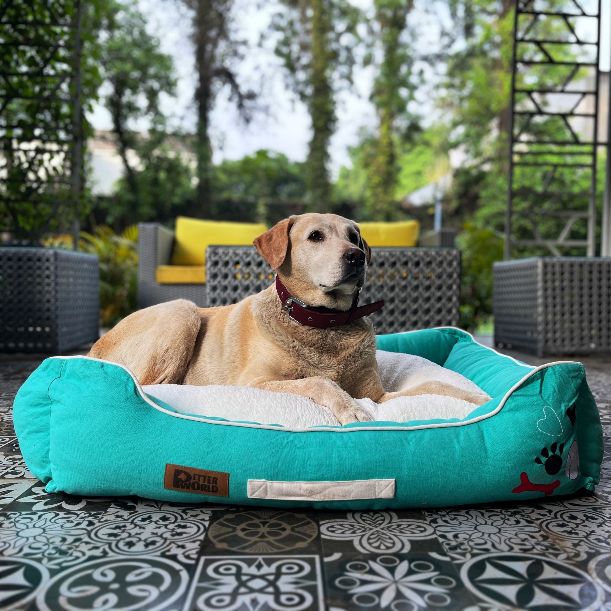 PetterWorld All weather Ultra Luxury Cotton Canvas Lounger Dog Bed with Removable Sherpa fur Cushion for calming effect Turquoise Petter World