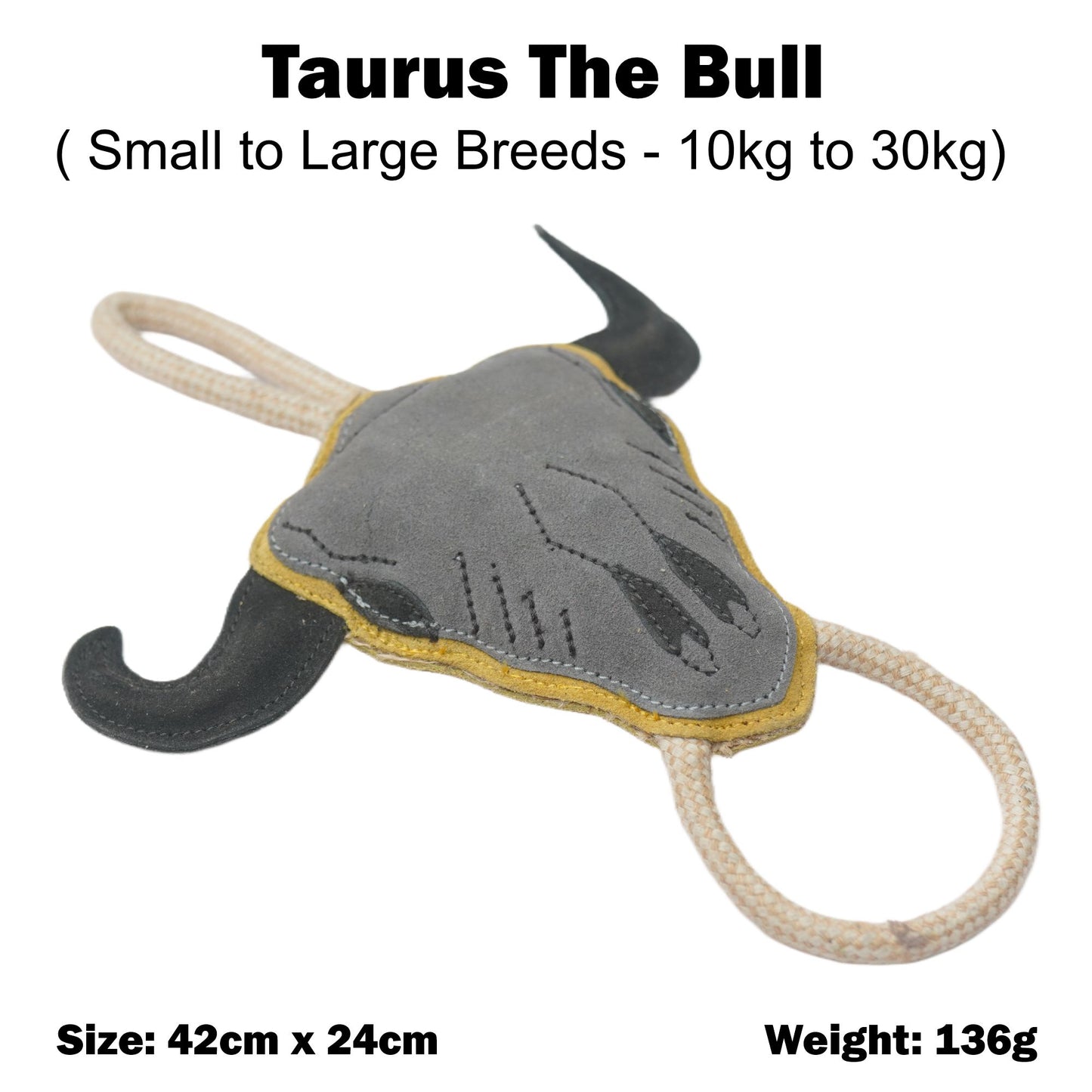 Taurus the Bull