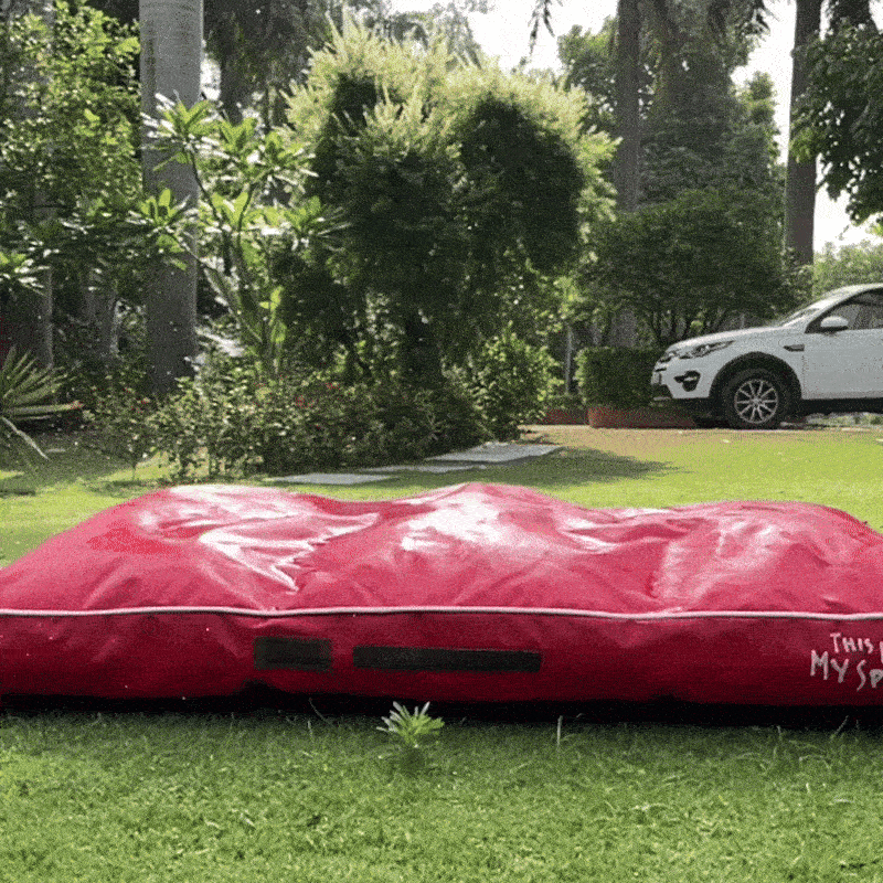Rain or Shine, Their Comfort is Just Fine!