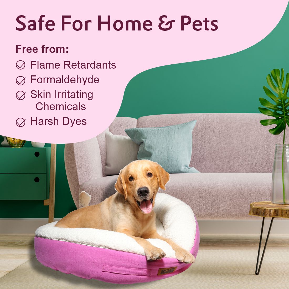 Pet world dog beds best sale